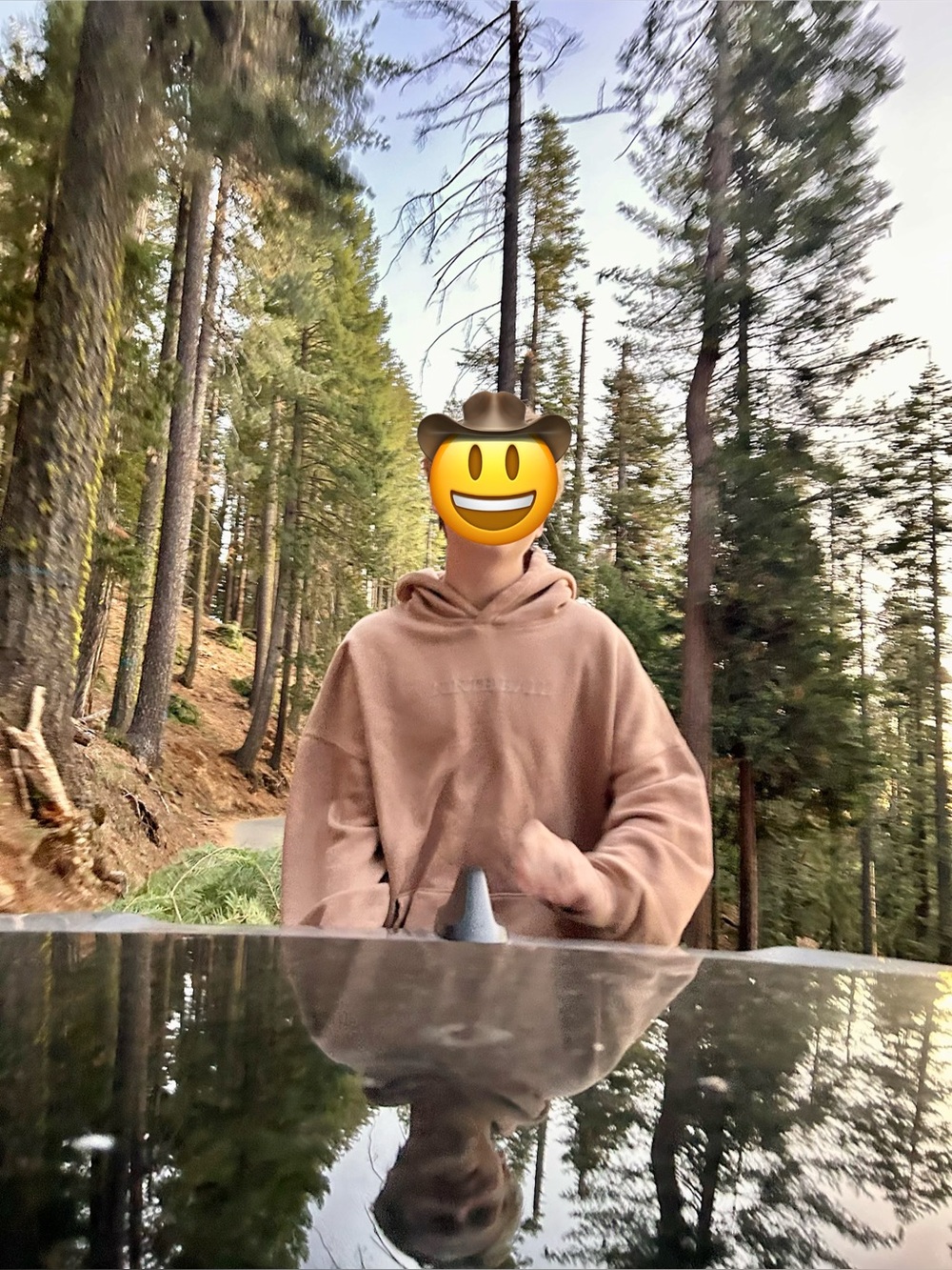 Ninth Hall Embossed Hoodie - Taupe/Tan